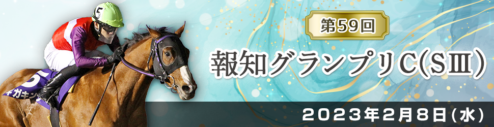 報知グランプリＣの結果